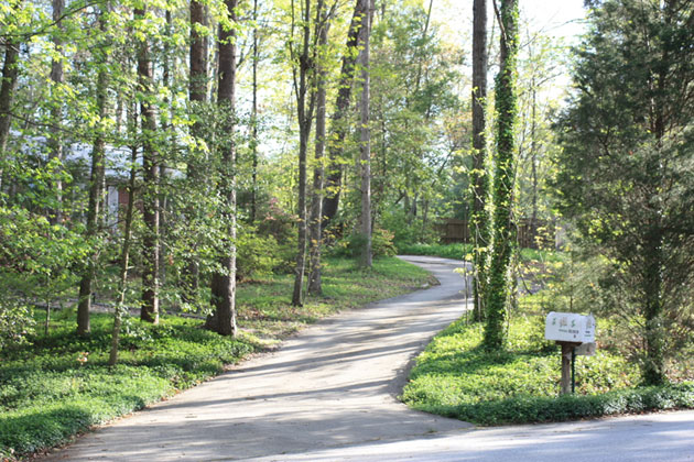 Sunday Drive