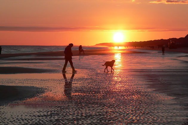 Gorgeous Sunset