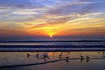 Beach Sunrise