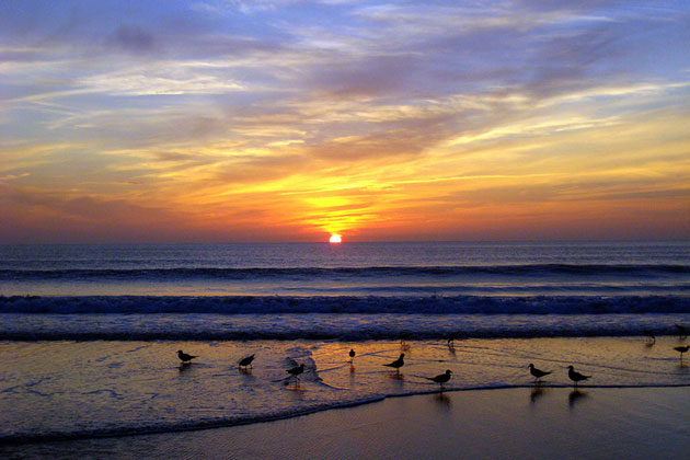Beach Sunrise