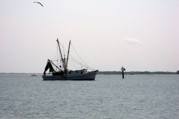 Shrimp Catchers