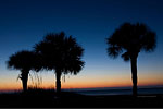 Sunrise Hilton Head