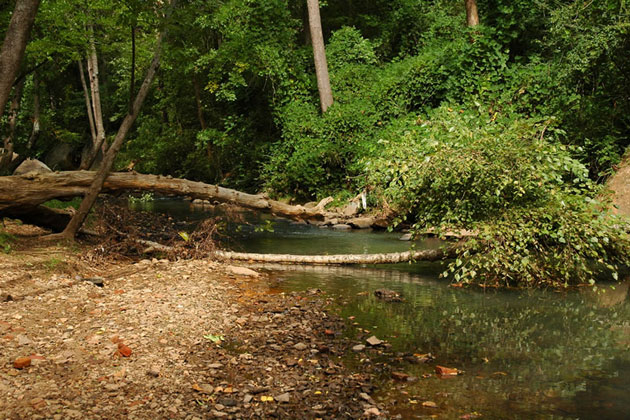 Quiet River