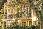 Southern Plantations
