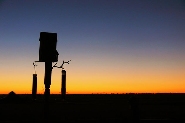 South Dakota Sunrise