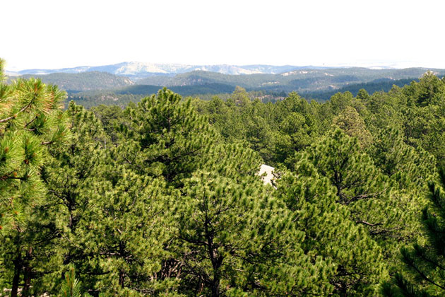 Black Hills