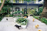 Key West Hemmingway house