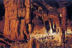 Florida Caverns
