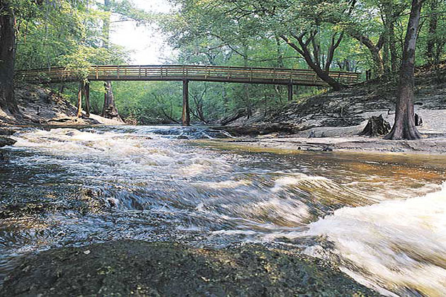 Suwannee River State Park
