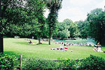 Wekiwa Springs