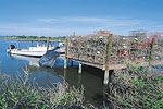 Cabbage Key