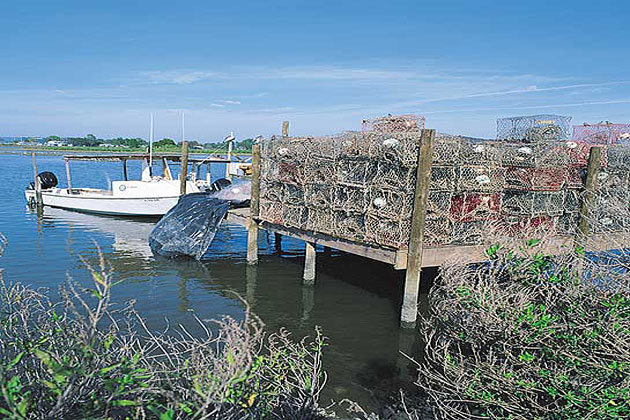 Cabbage Key