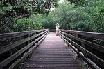 Charlotte County