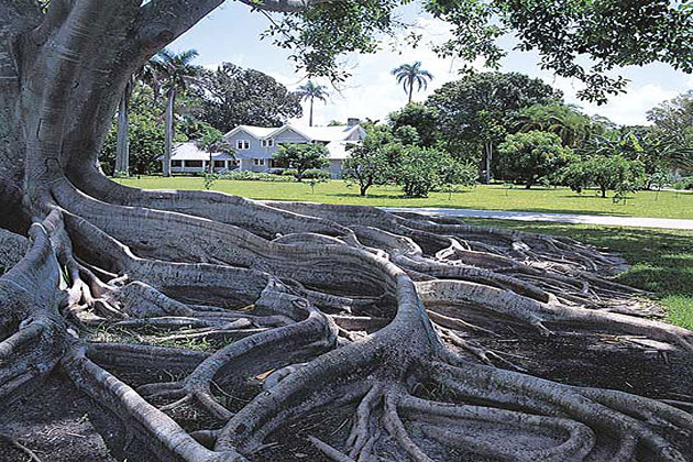 Henry Ford Home Fort Myers