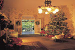 Holidays @ Edison Home