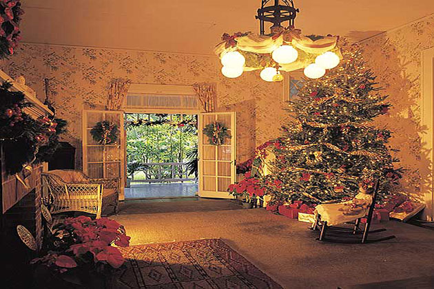 Holidays @ Edison Home