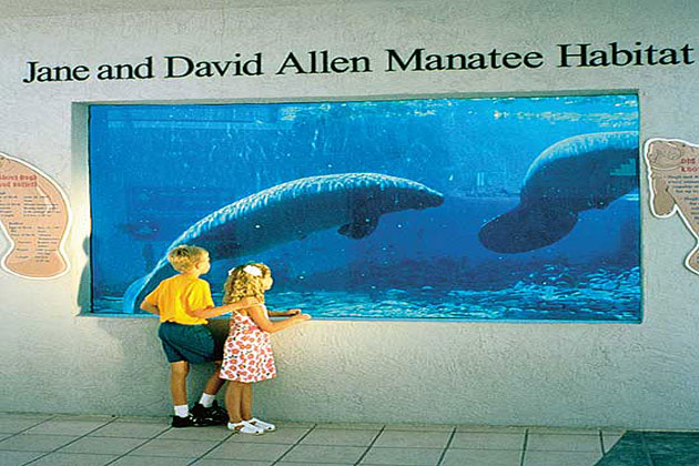 Mote Aquarium Sarasota