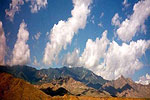 Pinaleno Mountains