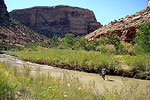 San Rafael Canyon Fording River