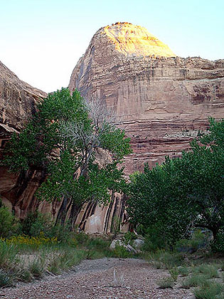 San Rafael Virgin Canyon