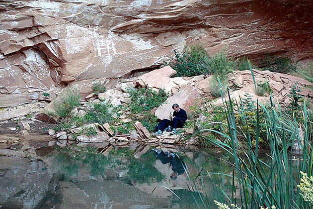 San Rafael Virgin Canyon Box Spring