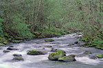 Sandy River