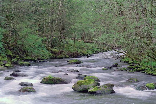 Sandy River
