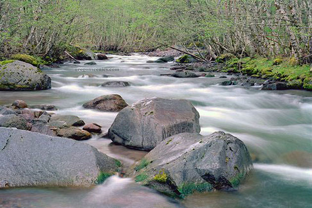 Sandy River