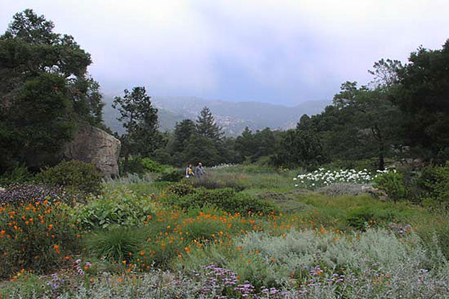 Santa Barbara Botanic Garden