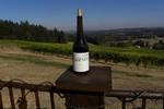 Sarver Winery