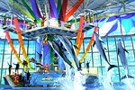 SeaWorld San Antonio