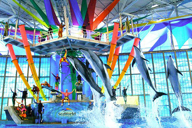 SeaWorld San Antonio