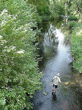 Oak Creek Fishing