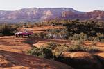 Pink Jeep Tours