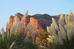 Red Rock Feathers