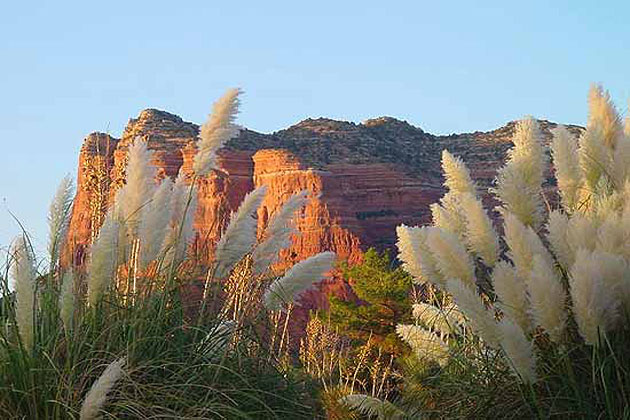 Red Rock Feathers