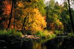 Oak Creek Canyon Colors