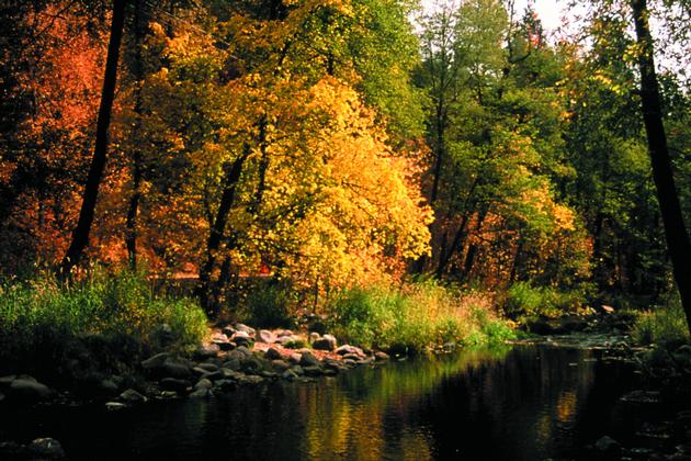 Oak Creek Canyon Colors