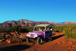 Pink Jeep Tours