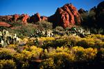 Red Rocks in Fall