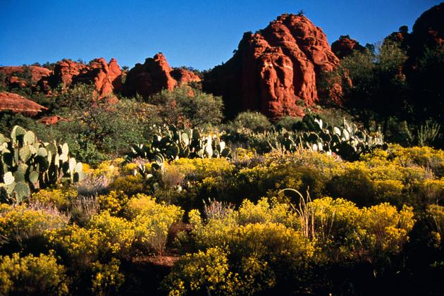 Red Rocks in Fall