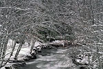 Snowy stream