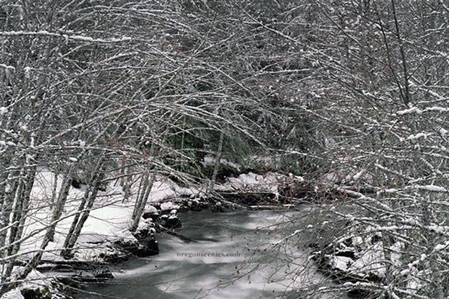 Snowy stream