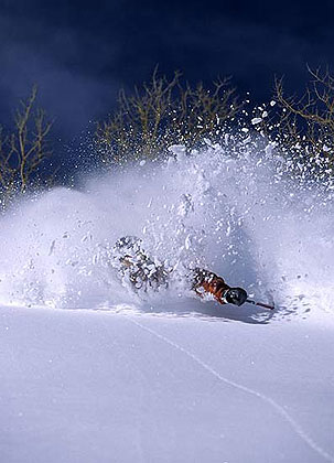 Utah Powder