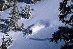 Deep Powder