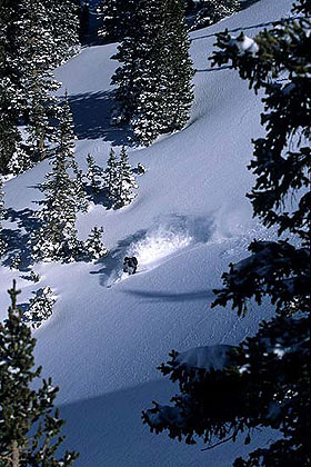 Deep Powder