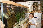 Aquarium in Nature Center