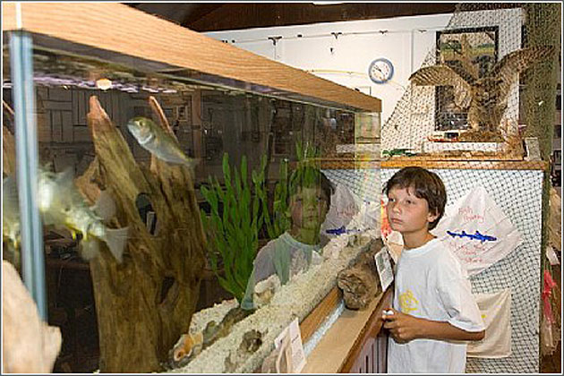 Aquarium in Nature Center