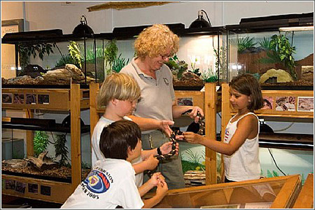 Hands On Learning!