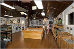 The Hunting Island Nature Center